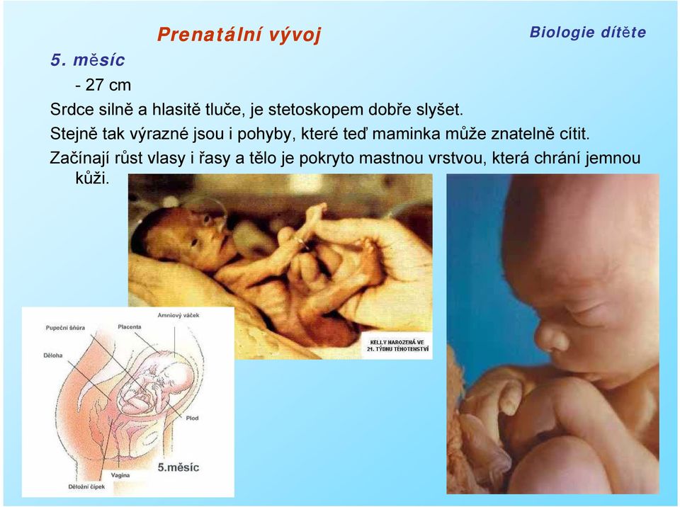 Stejně tak výrazné jsou i pohyby, které teď maminka může