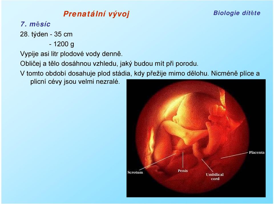 Obličej a tělo dosáhnou vzhledu, jaký budou mít při porodu.