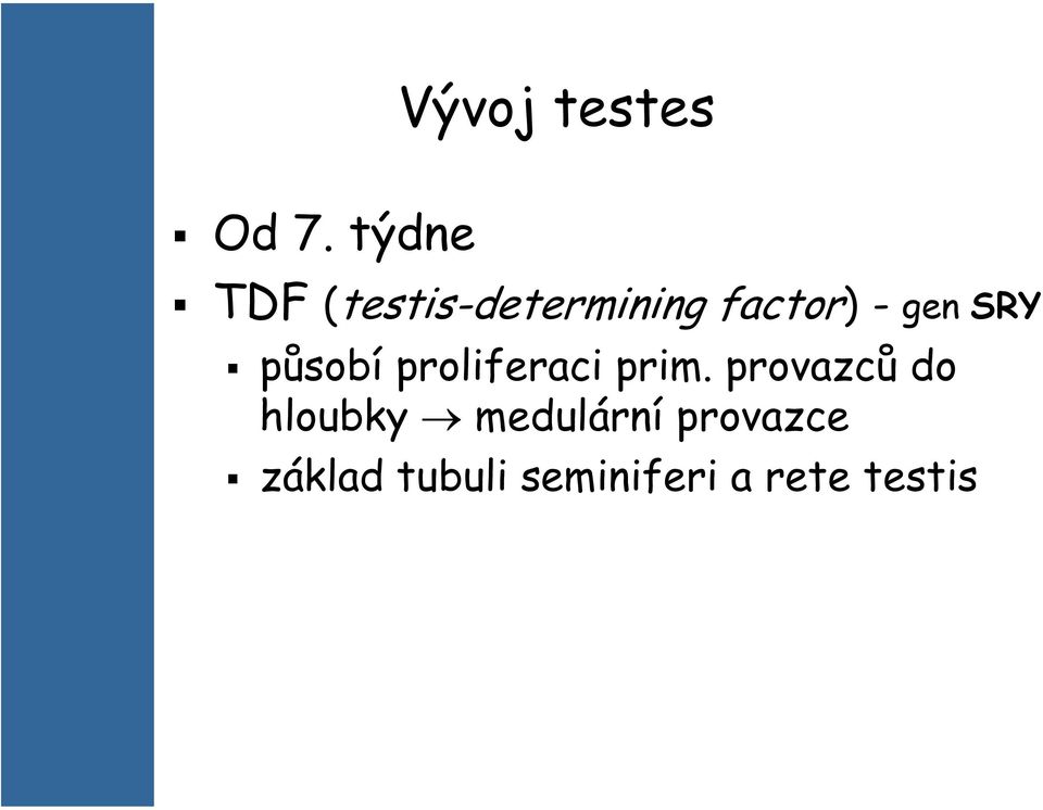 -gen SRY působí proliferaci prim.