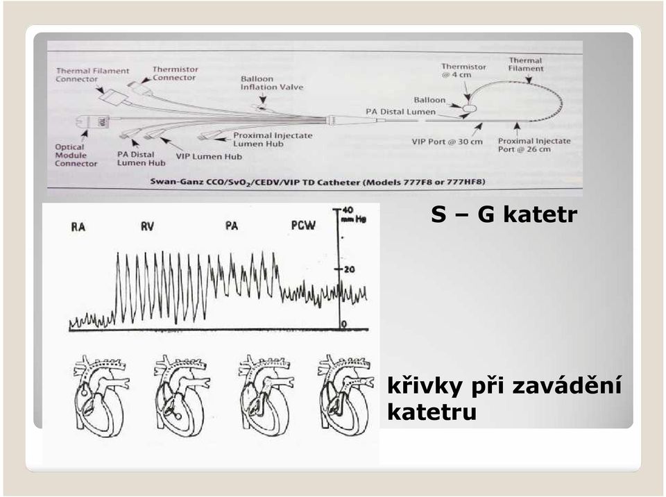 křivky