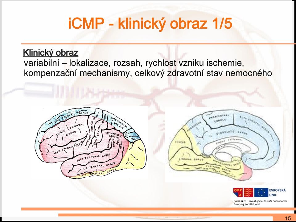 rychlost vzniku ischemie, kompenzační