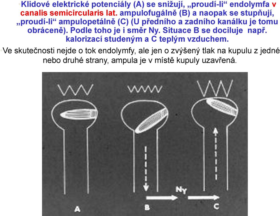 obráceně). Podle toho je i směr Ny. Situace B se dociluje např. kalorizací studeným a C teplým vzduchem.