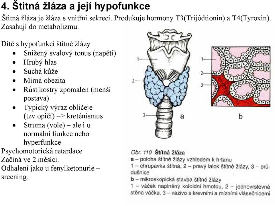 Dítě s hypofunkcí štitné žlázy Snížený svalový tonus (napětí) Hrubý hlas Suchá kůže Mírná obezita Růst kostry zpomalen