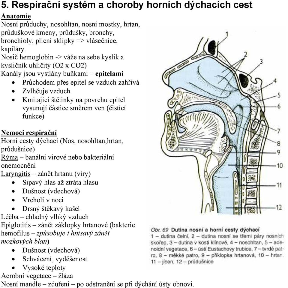 epitel vysunují částice směrem ven (čistící funkce) Nemoci respirační Horní cesty dýchací (Nos, nosohltan,hrtan, průdušnice) Rýma banální virové nebo bakteriální onemocnění Laryngitis zánět hrtanu