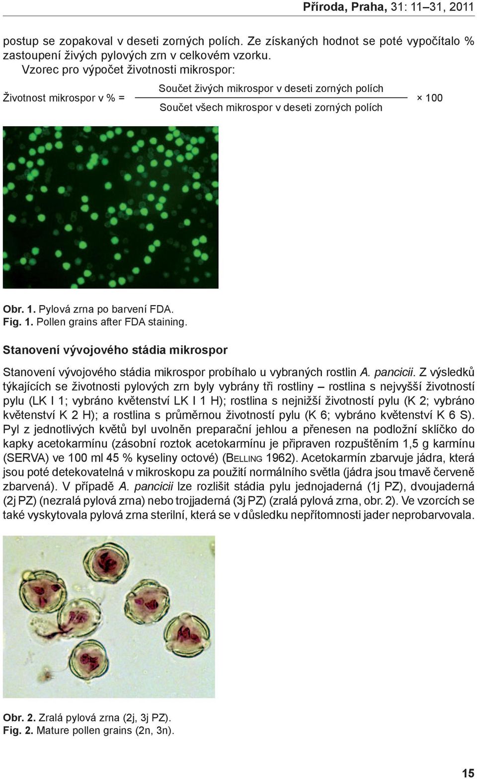 Fig. 1. Pollen grains after FDA staining. Stanovení vývojového stádia mikrospor Stanovení vývojového stádia mikrospor probíhalo u vybraných rostlin A. pancicii.