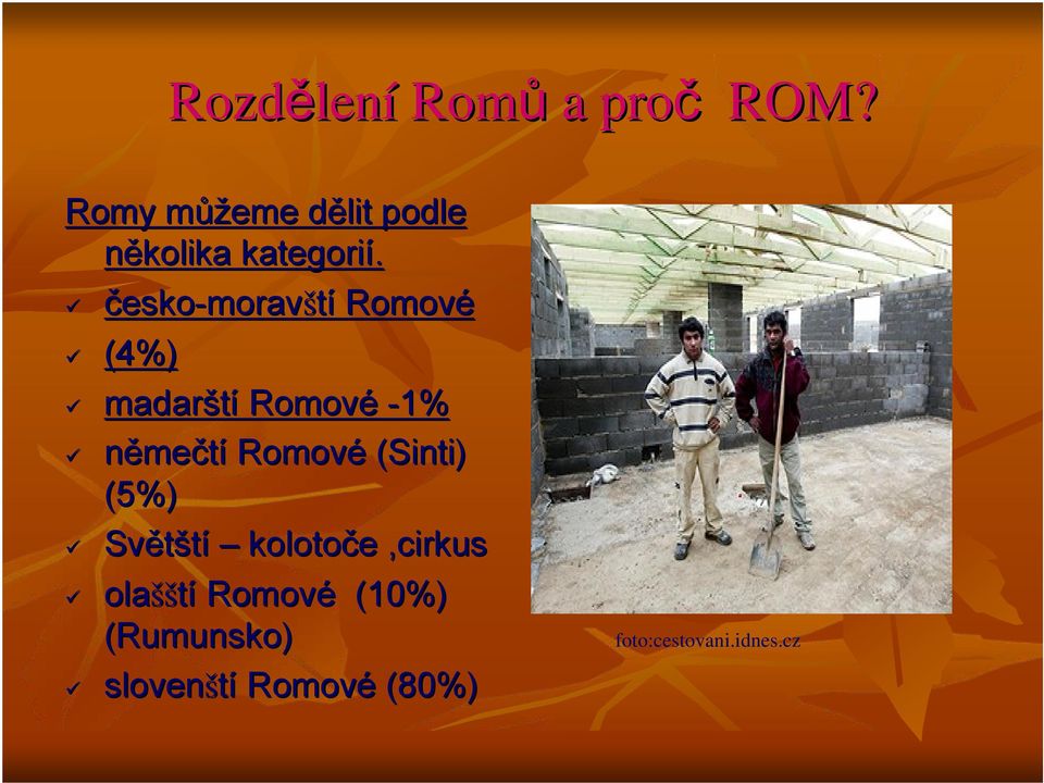 česko-moravští Romové (4%) madarští Romové -1% němečtí Romové