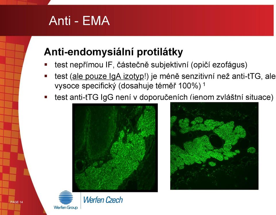 ) je méně senzitivní než anti-ttg, ale vysoce specifický (dosahuje