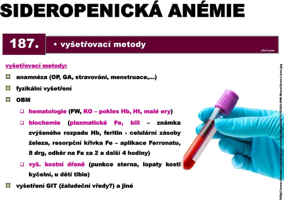 Ht, malé ery) biochemie (plazmatické Fe, bili známka zvýšeného rozpadu Hb, feritin - celulární zásoby železa, resorpční křivka Fe