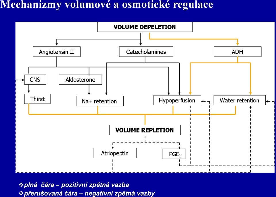 pozitivní zpětná vazba