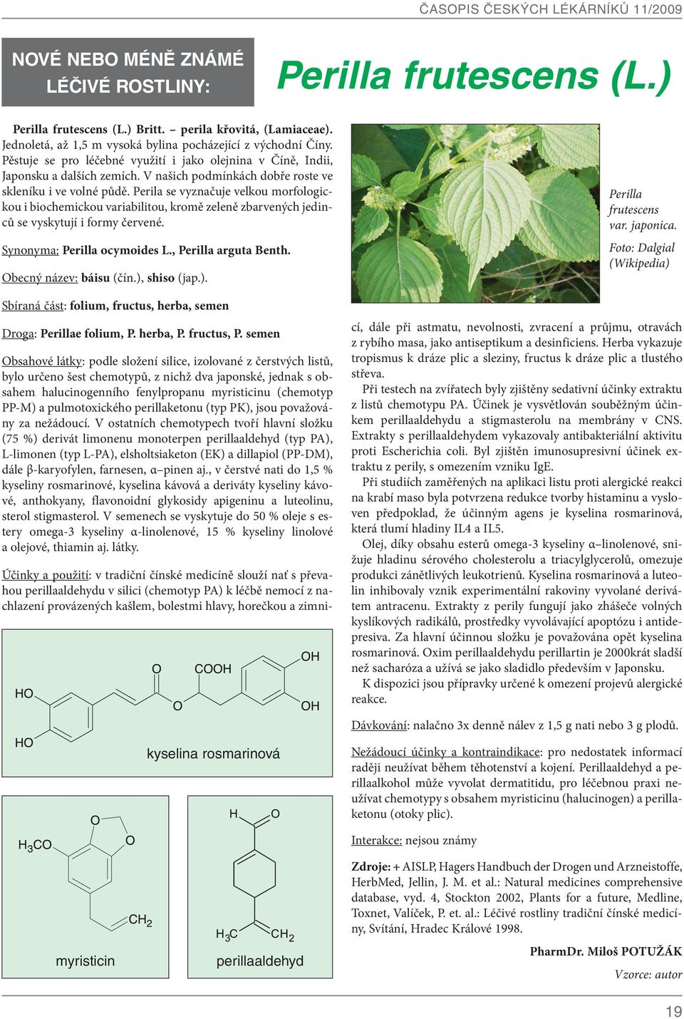 Perila se vyznačuje velkou morfologickou i biochemickou variabilitou, kromě zeleně zbarvených jedinců se vyskytují i formy červené. Synonyma: Perilla ocymoides L., Perilla arguta Benth.