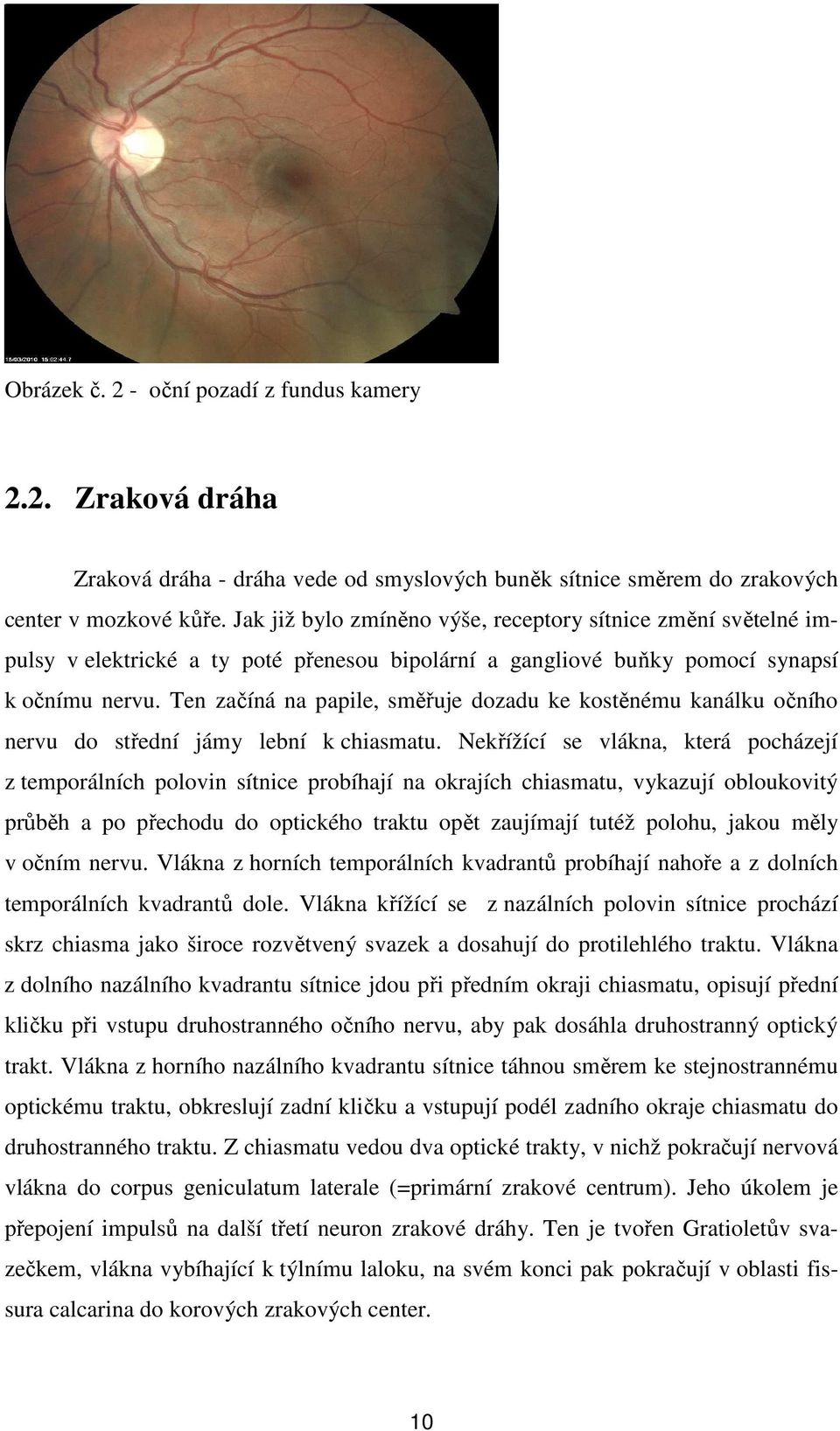 Ten začíná na papile, směřuje dozadu ke kostěnému kanálku očního nervu do střední jámy lební k chiasmatu.