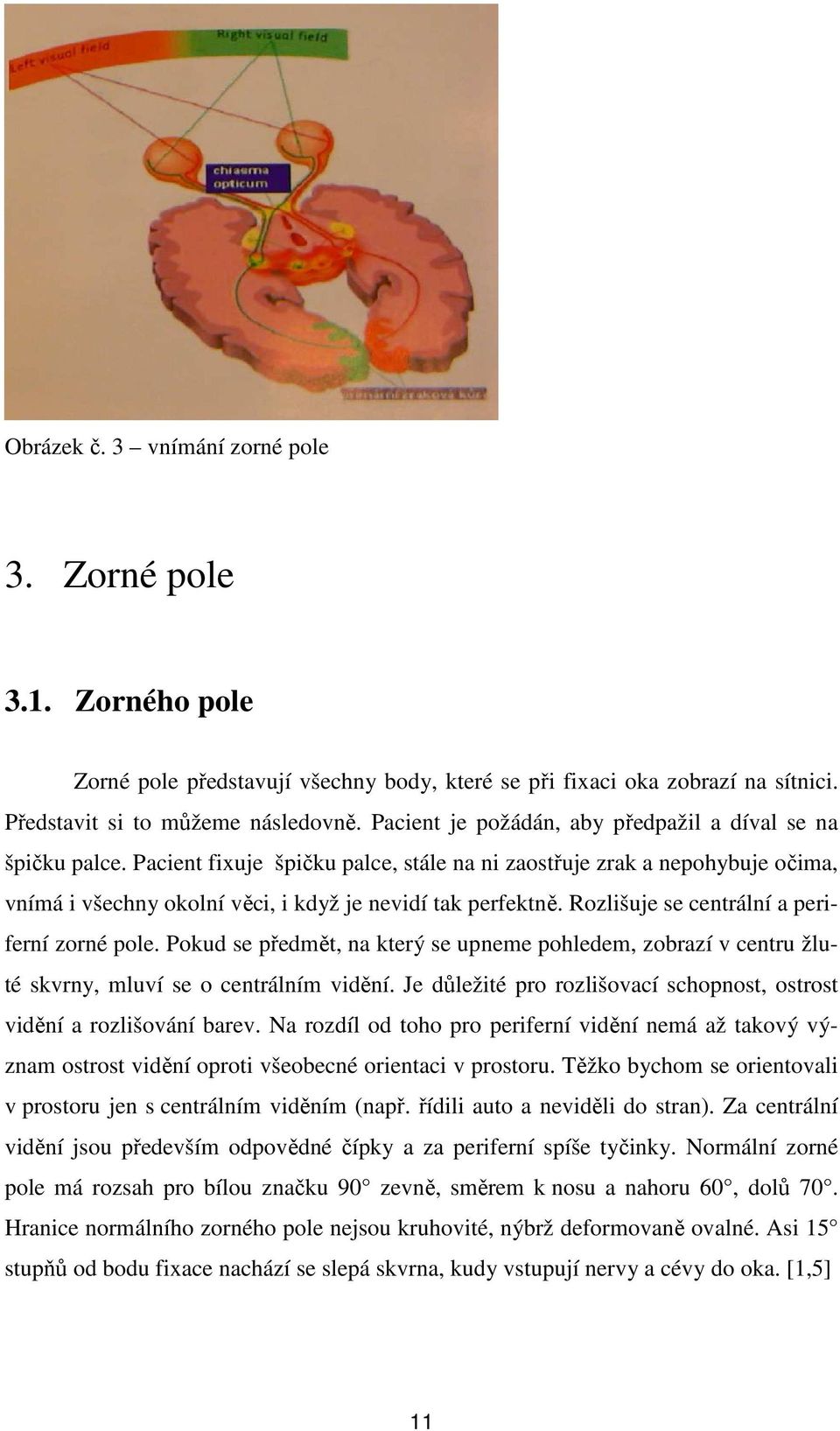 Rozlišuje se centrální a periferní zorné pole. Pokud se předmět, na který se upneme pohledem, zobrazí v centru žluté skvrny, mluví se o centrálním vidění.