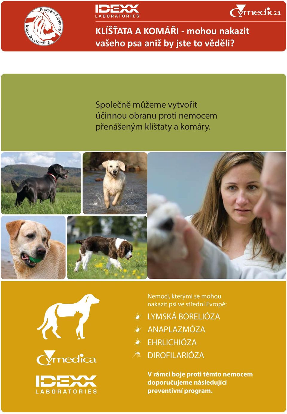 Nemoci, kterými se mohou nakazit psi ve střední Evropě: LYMSKÁ BORELIÓZA ANAPLAZMÓZA EHRLICHIÓZA DIROFILARIÓZA vy SA, Phillip M.