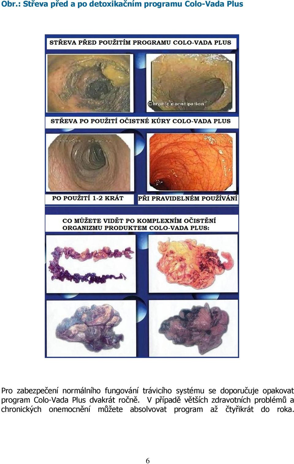 opakovat program Colo-Vada Plus dvakrát ročně.