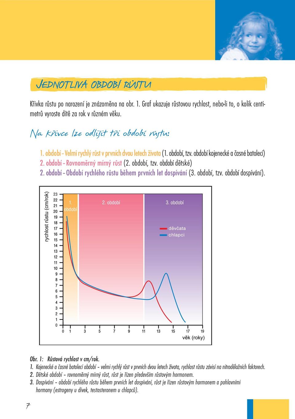 období Období rychlého růstu během prvních let dospívání (3. období, tzv. období dospívání). 1.