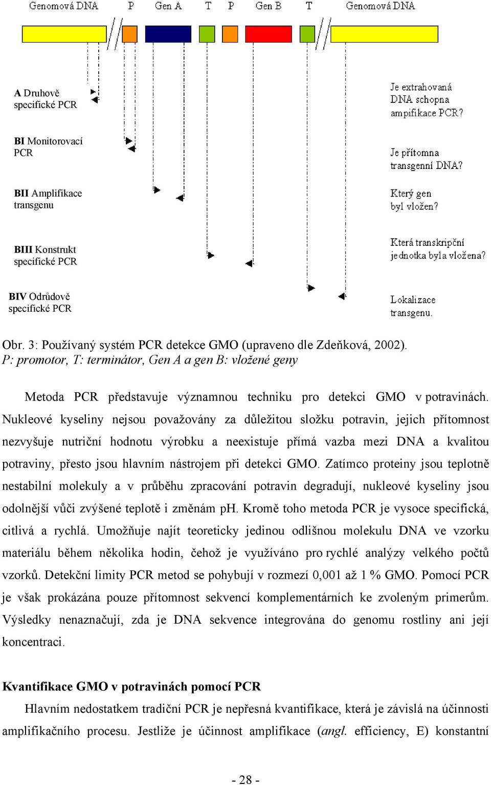 Nukleové kyseliny nejsou považovány za důležitou složku potravin, jejich přítomnost nezvyšuje nutriční hodnotu výrobku a neexistuje přímá vazba mezi DNA a kvalitou potraviny, přesto jsou hlavním