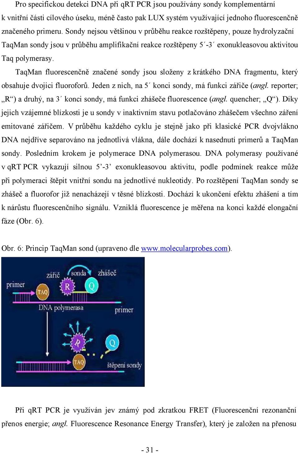 TaqMan fluorescenčně značené sondy jsou složeny z krátkého DNA fragmentu, který obsahuje dvojici fluoroforů. Jeden z nich, na 5 konci sondy, má funkci zářiče (angl.