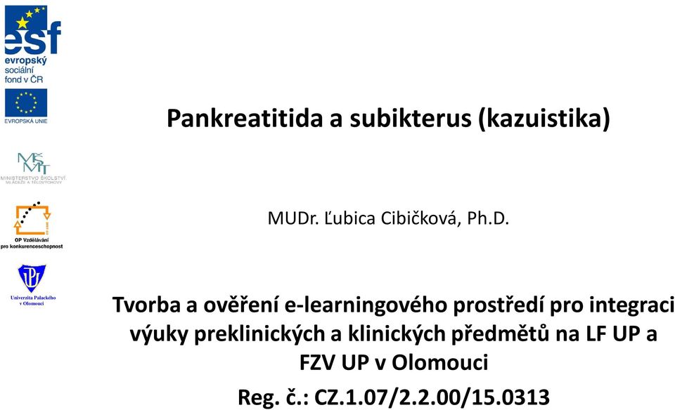 Tvorba a ověření e-learningového prostředí pro