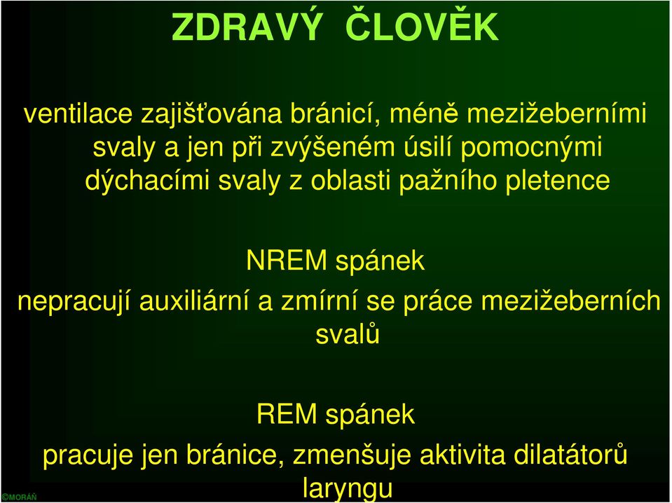 pletence NREM spánek nepracují auxiliární a zmírní se práce