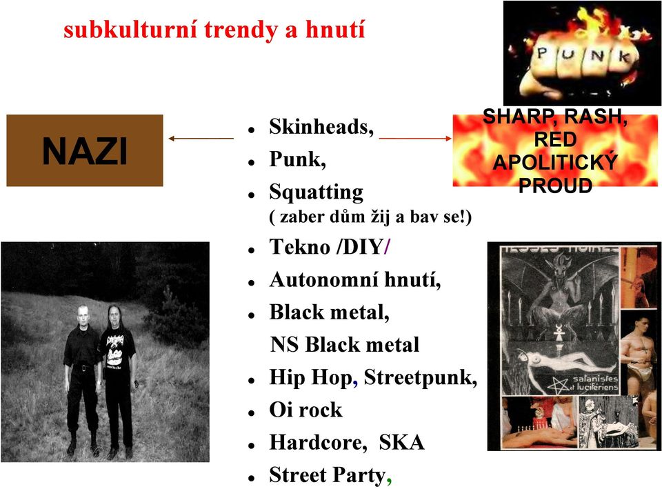 ) Tekno /DIY/ Autonomní hnutí, Black metal, NS Black metal