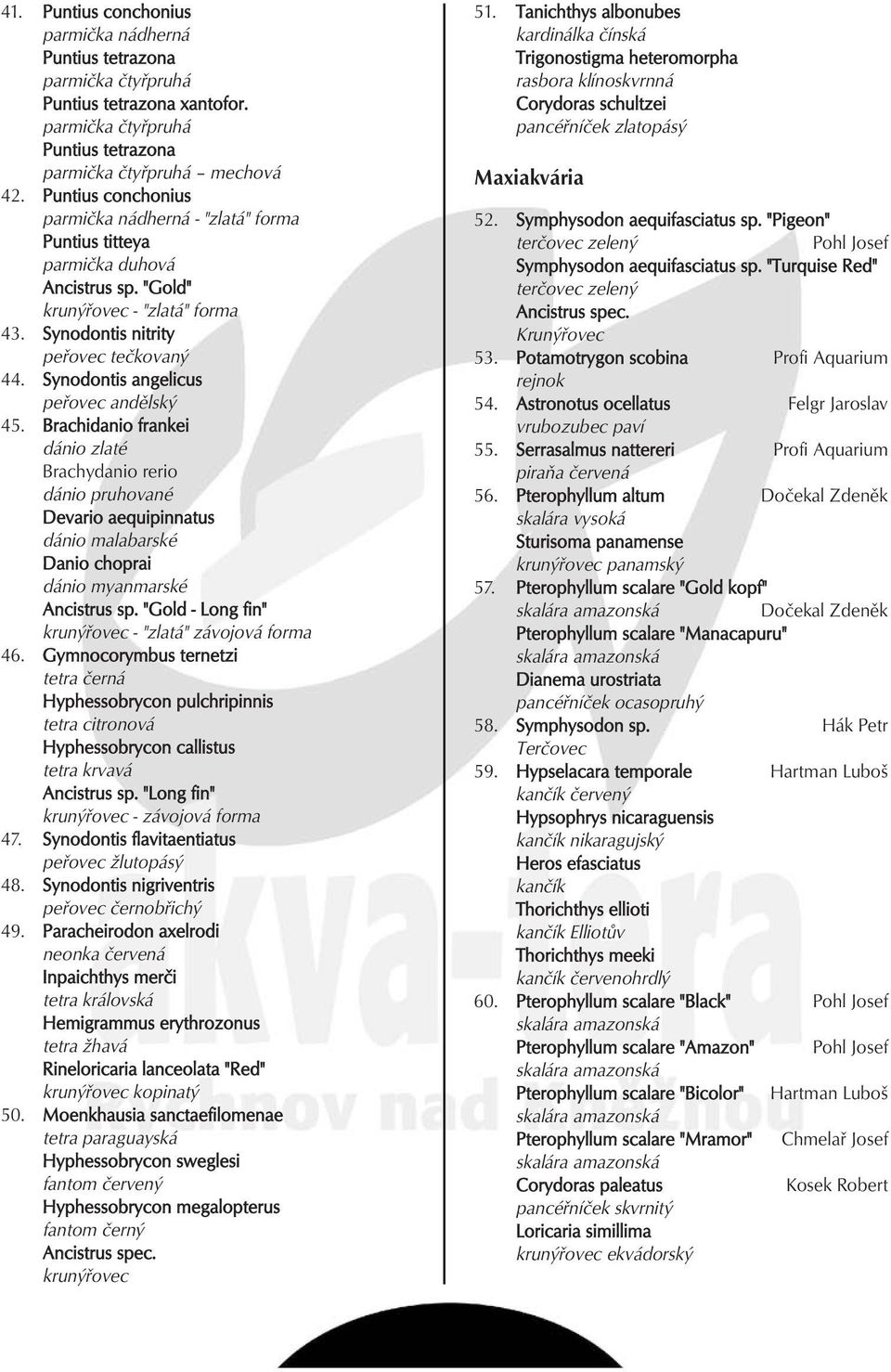 Synodontis angelicus peřovec andělský 45. Brachidanio frankei dánio zlaté Brachydanio rerio dánio pruhované Devario aequipinnatus dánio malabarské Danio choprai dánio myanmarské Ancistrus sp.