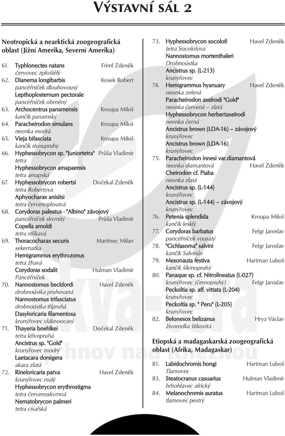 Paracheirodon simulans Kroupa Miloš neonka modrá 65. Vieja bifasciata Kroupa Miloš kančík dvoupruhý 66. Hyphessobrycon sp.