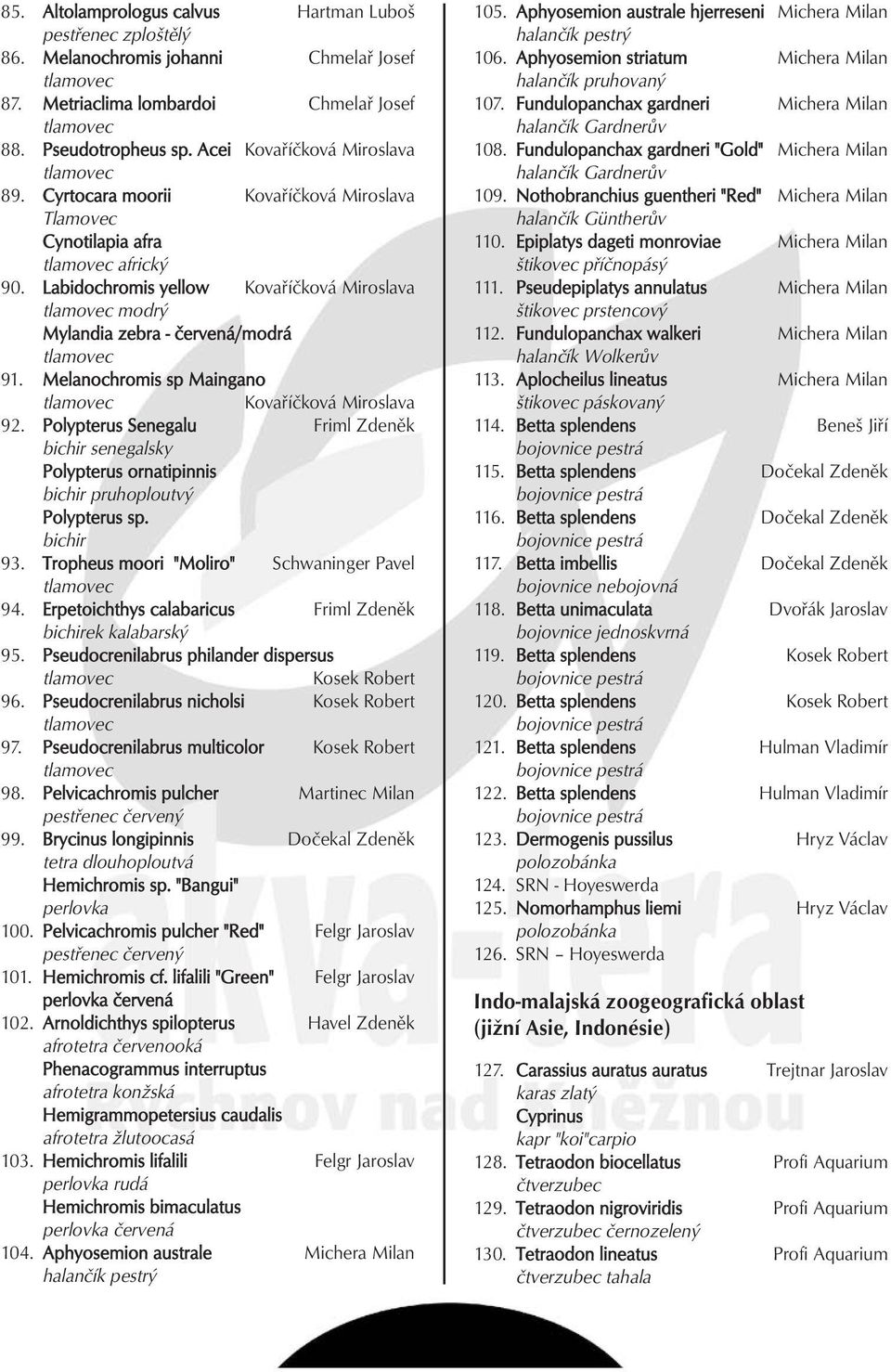 Labidochromis yellow Kovaříčková Miroslava tlamovec modrý Mylandia zebra - červená/modrá tlamovec 91. Melanochromis sp Maingano tlamovec Kovaříčková Miroslava 92.