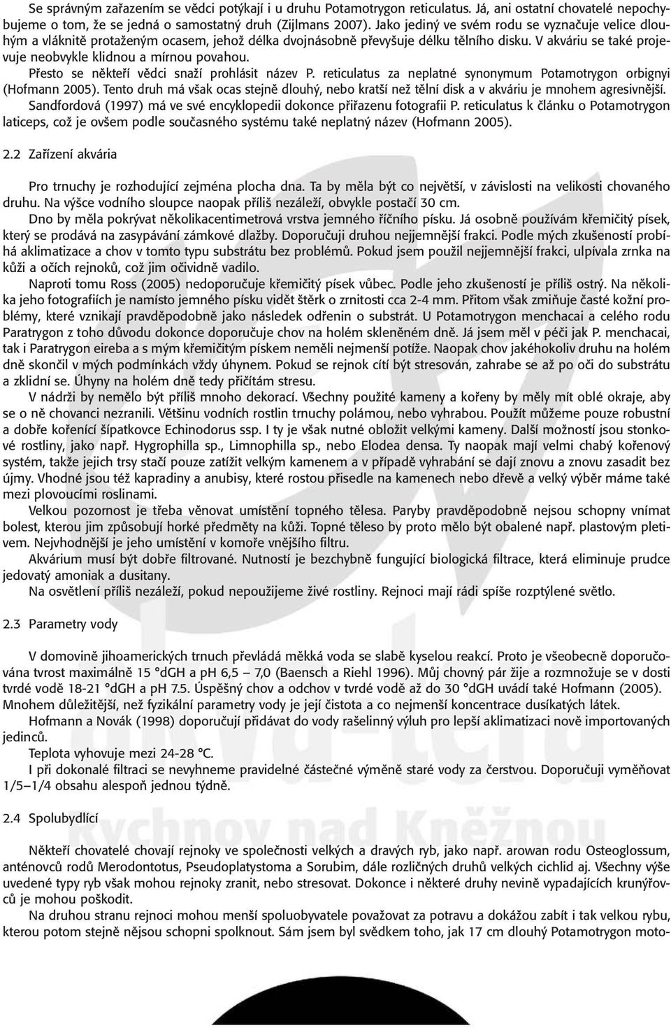 V akváriu se také projevuje neobvykle klidnou a mírnou povahou. Pfiesto se nûktefií vûdci snaïí prohlásit název P. reticulatus za neplatné synonymum Potamotrygon orbignyi (Hofmann 2005).