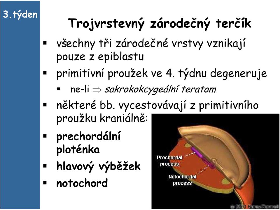 týdnu degeneruje ne-li sakrokokcygeální teratom některé bb.