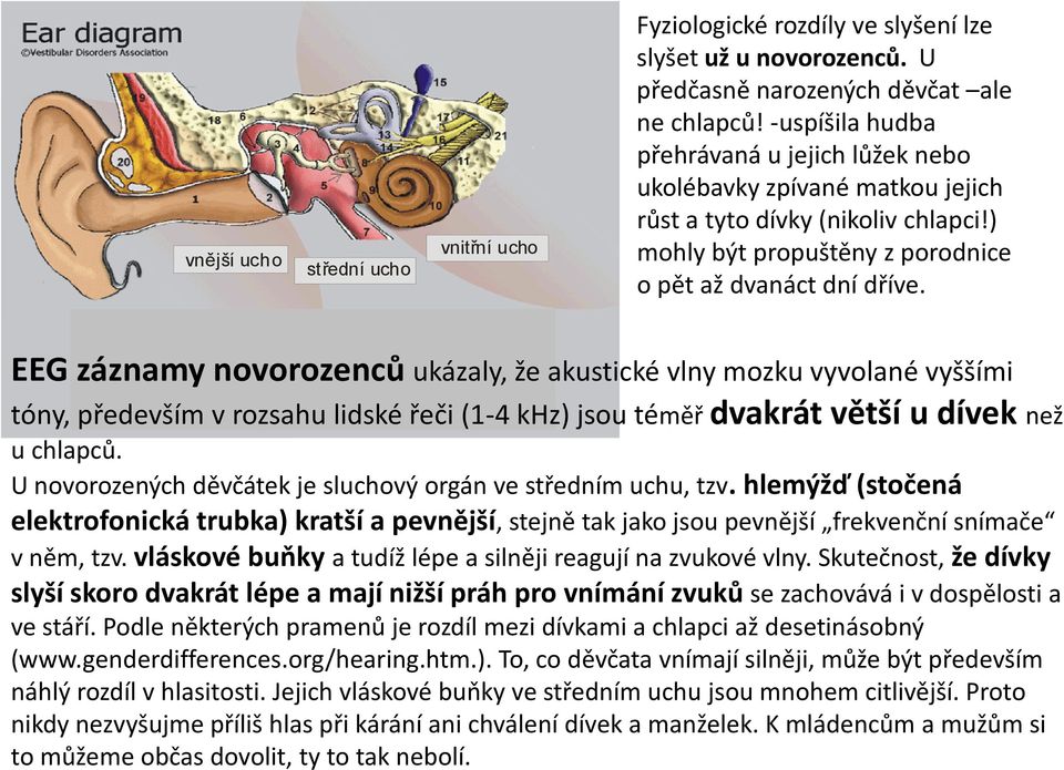 EEG záznamy novorozenců ukázaly, že akustické vlny mozku vyvolané vyššími tóny, především v rozsahu lidské řeči (1-4 khz) jsou téměř dvakrát větší u dívek než u chlapců.