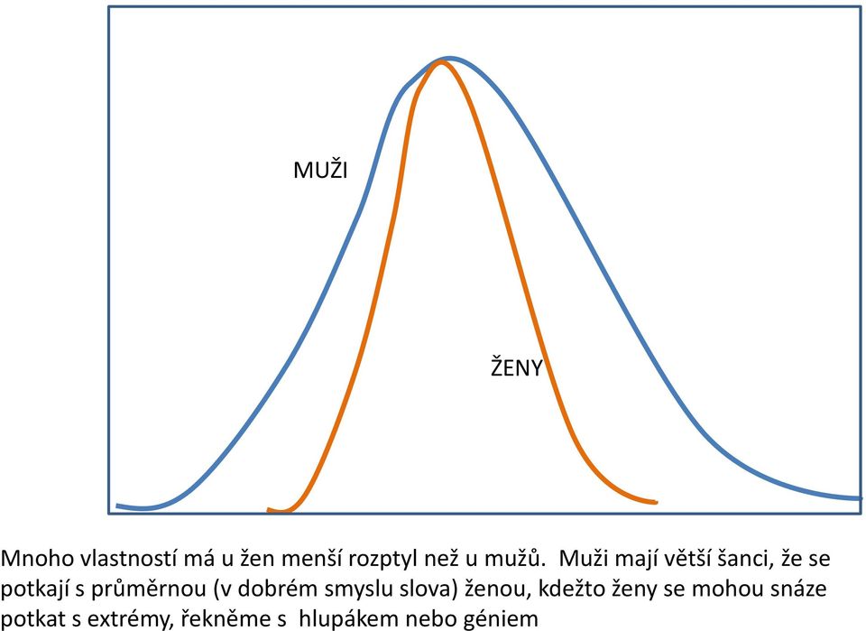 Muži mají větší šanci, že se potkají s průměrnou (v