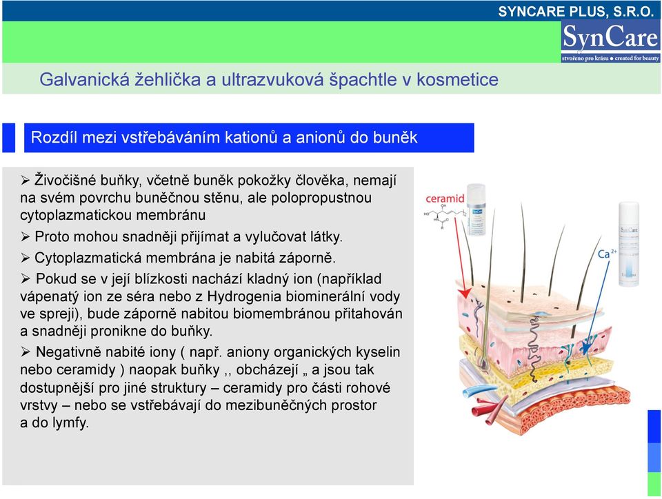 Pokud se v její blízkosti nachází kladný ion (například vápenatý ion ze séra nebo z Hydrogenia biominerální vody ve spreji), bude záporně nabitou biomembránou přitahován a