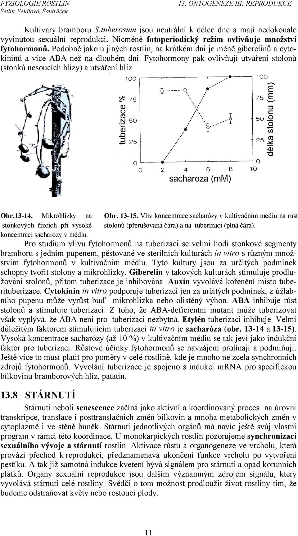 13-14. Mikrohlízky na stonkových řízcích při vysoké koncentraci sacharózy v médiu. Obr. 13-15.