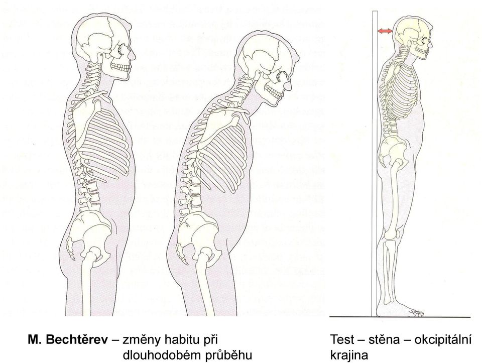 dlouhodobém průběhu