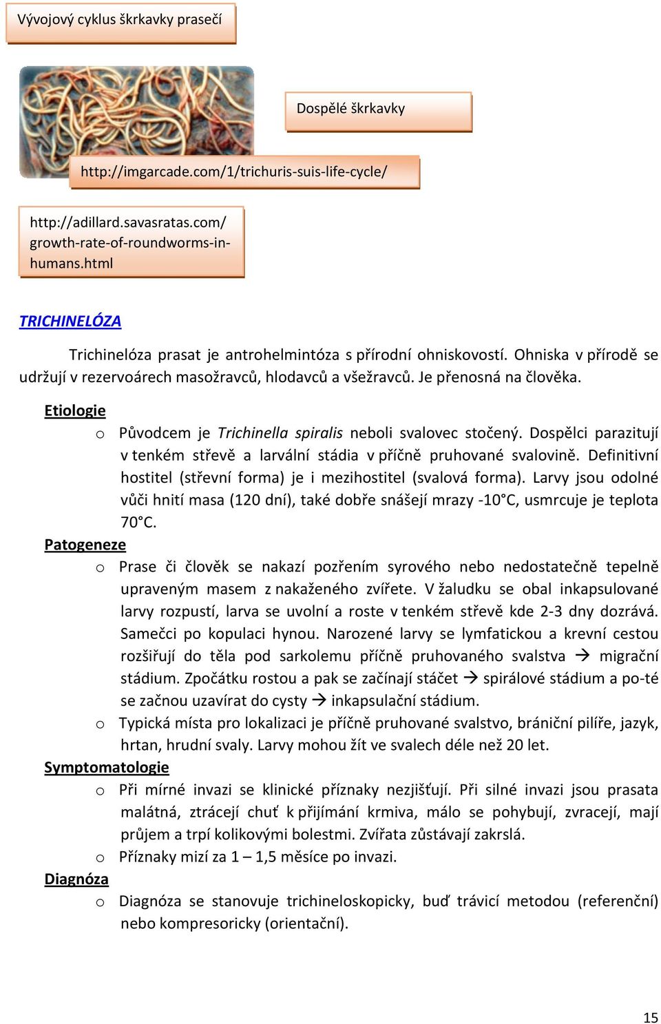 o Původcem je Trichinella spiralis neboli svalovec stočený. Dospělci parazitují v tenkém střevě a larvální stádia v příčně pruhované svalovině.