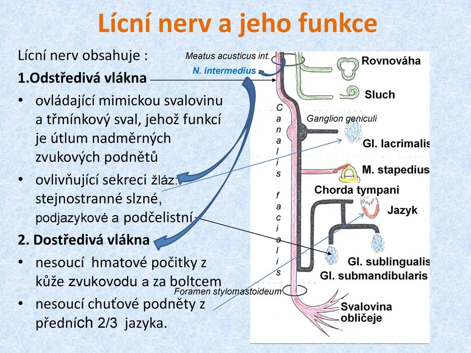 ovlivňující sekreci žláz: stejnostranné slzné, podjazykové a podčelistní 2.