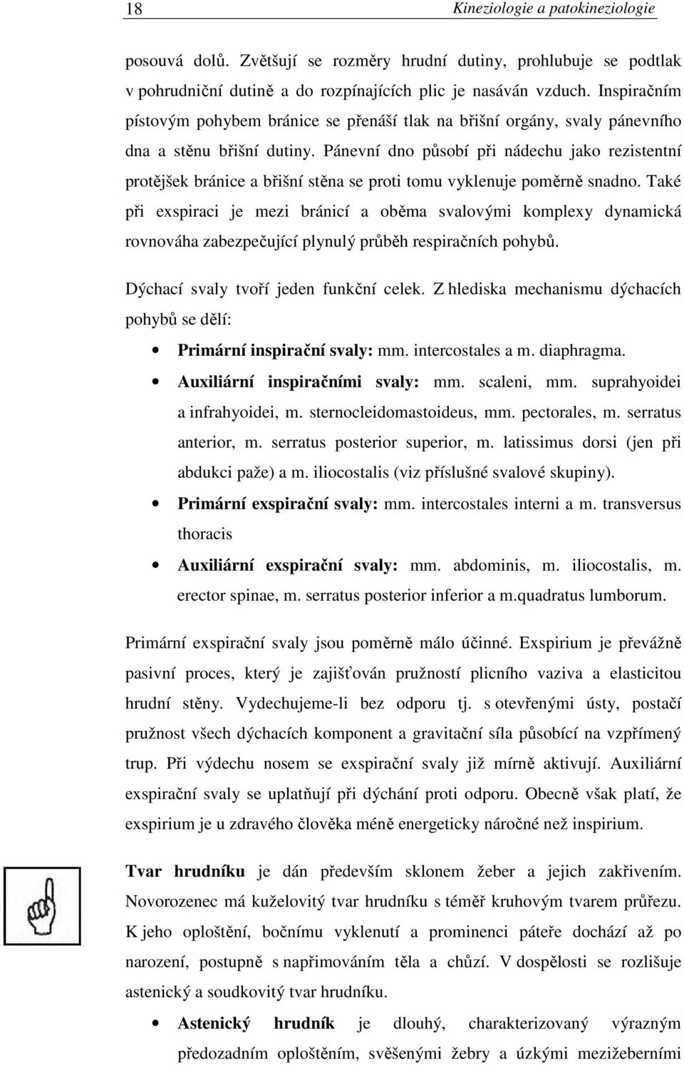 Pánevní dno působí při nádechu jako rezistentní protějšek bránice a břišní stěna se proti tomu vyklenuje poměrně snadno.