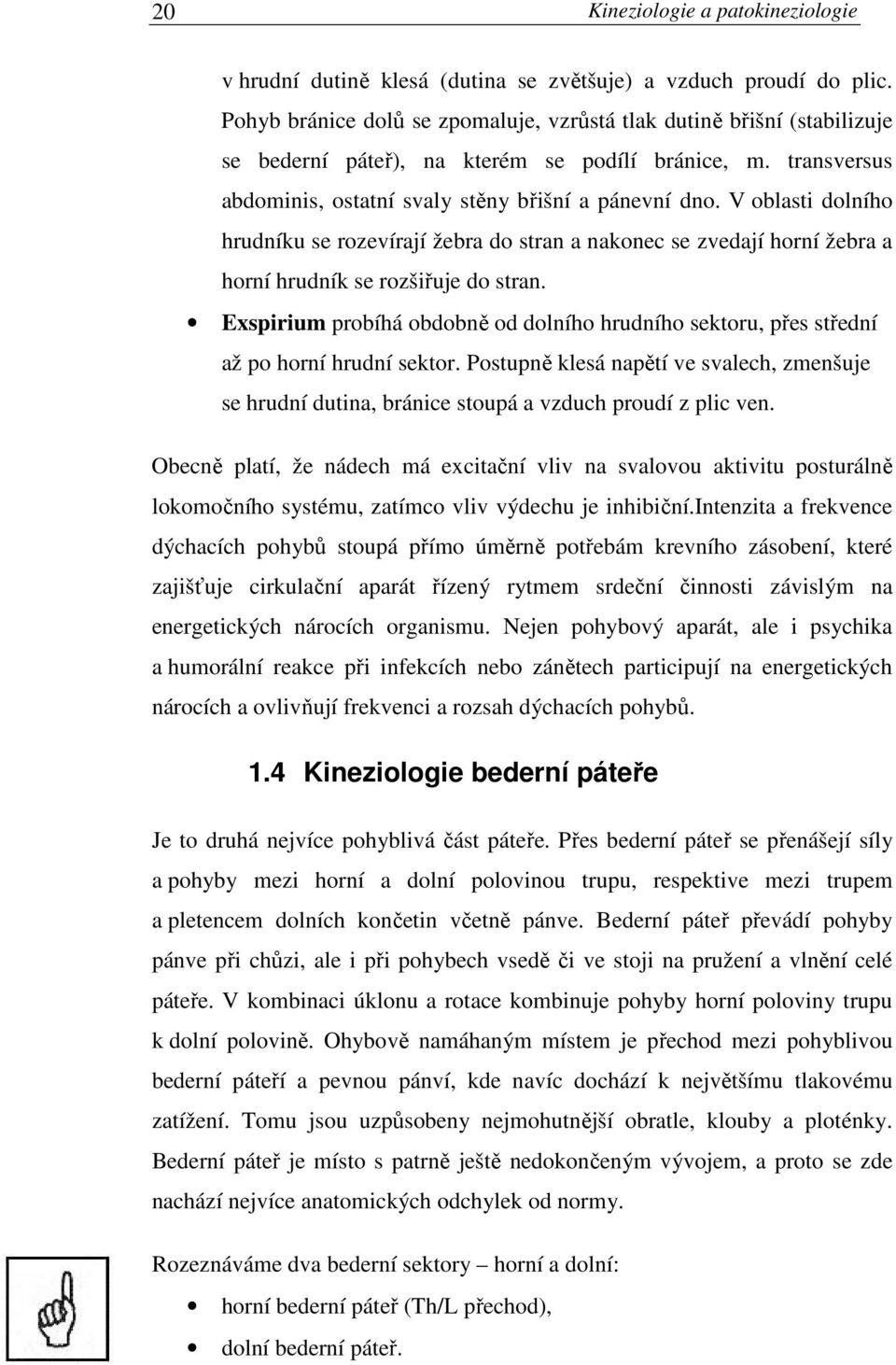 V oblasti dolního hrudníku se rozevírají žebra do stran a nakonec se zvedají horní žebra a horní hrudník se rozšiřuje do stran.