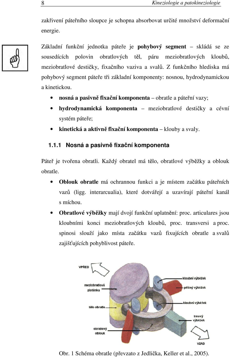 Z funkčního hlediska má pohybový segment páteře tři základní komponenty: nosnou, hydrodynamickou a kinetickou.