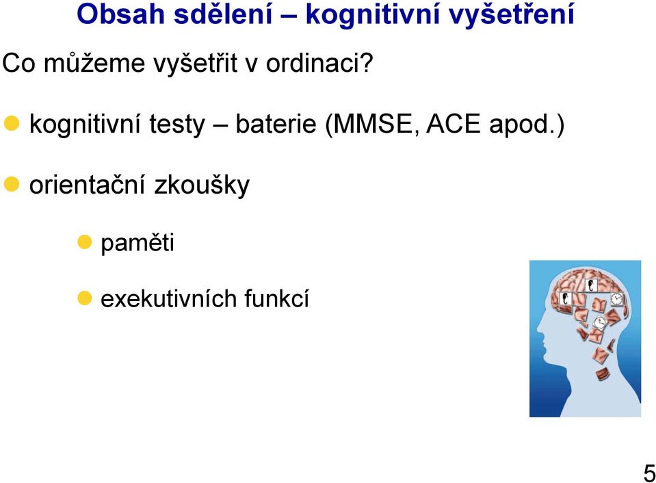 kognitivní testy baterie (MMSE, ACE