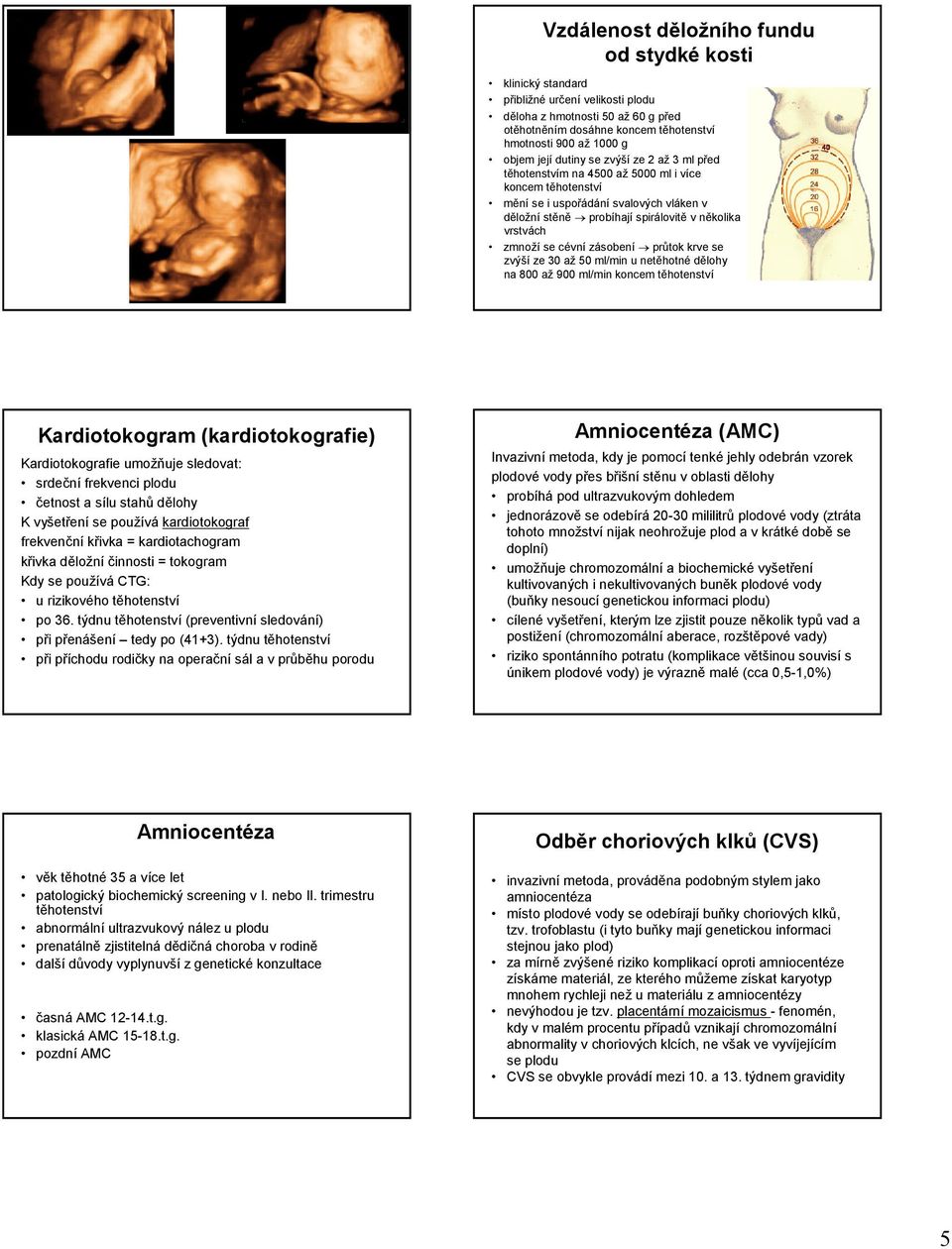 se cévní zásobení průtok krve se zvýší ze 30 až 50 ml/min u netěhotné dělohy na 800 až 900 ml/min koncem těhotenství Kardiotokogram (kardiotokografie) Kardiotokografie umožňuje sledovat: srdeční