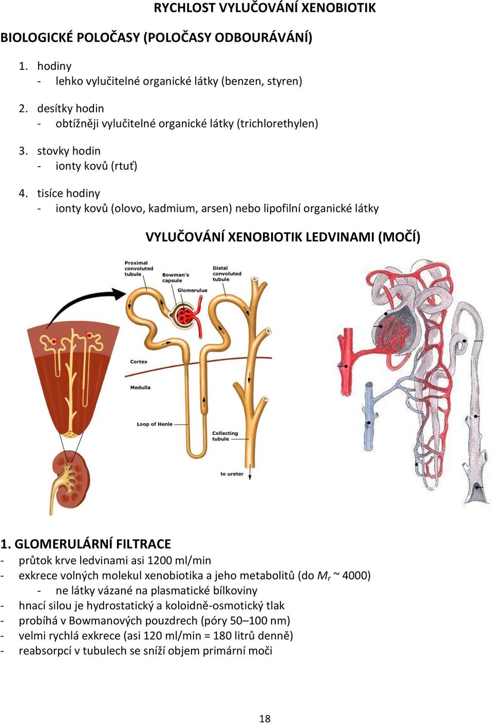 tisíce hodiny - ionty kovů (olovo, kadmium, arsen) nebo lipofilní organické látky VYLUČOVÁNÍ XENOBIOTIK LEDVINAMI (MOČÍ) 1.