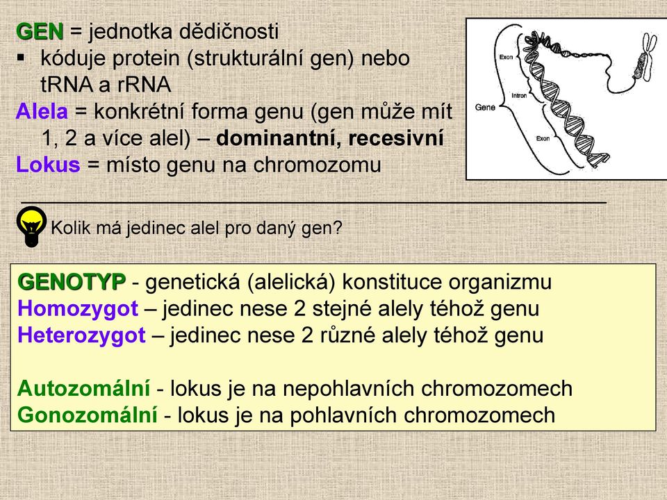 GENOTYP - genetická (alelická) konstituce organizmu Homozygot jedinec nese 2 stejné alely téhož genu Heterozygot jedinec