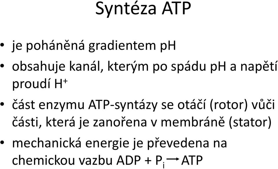 otáčí (rotor) vůči části, která je zanořena v membráně