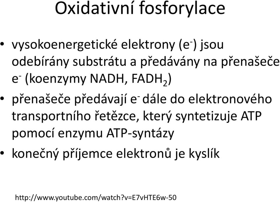 do elektronového transportního řetězce, který syntetizuje ATP pomocí enzymu