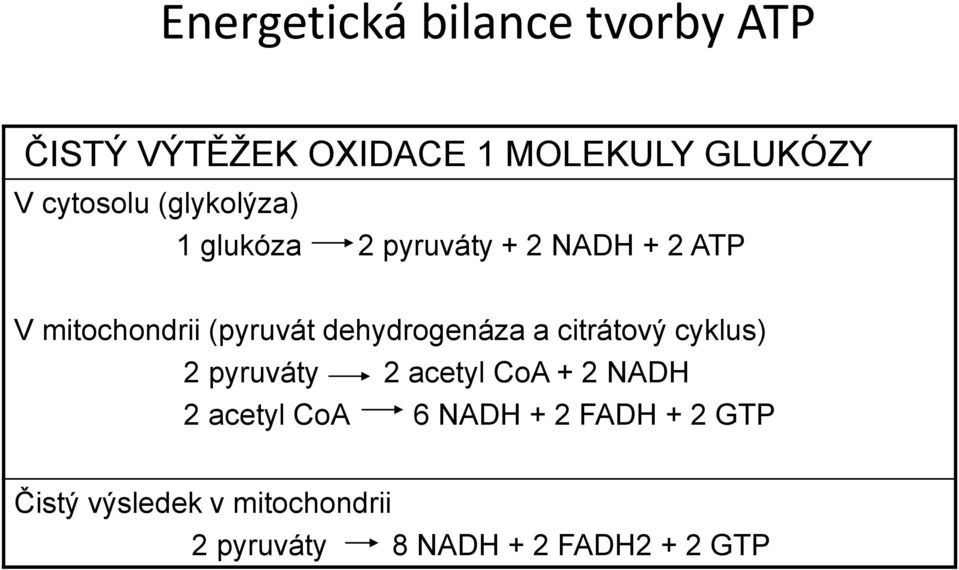 (pyruvát dehydrogenáza a citrátový cyklus) 2 pyruváty 2 acetyl CoA + 2 NADH 2