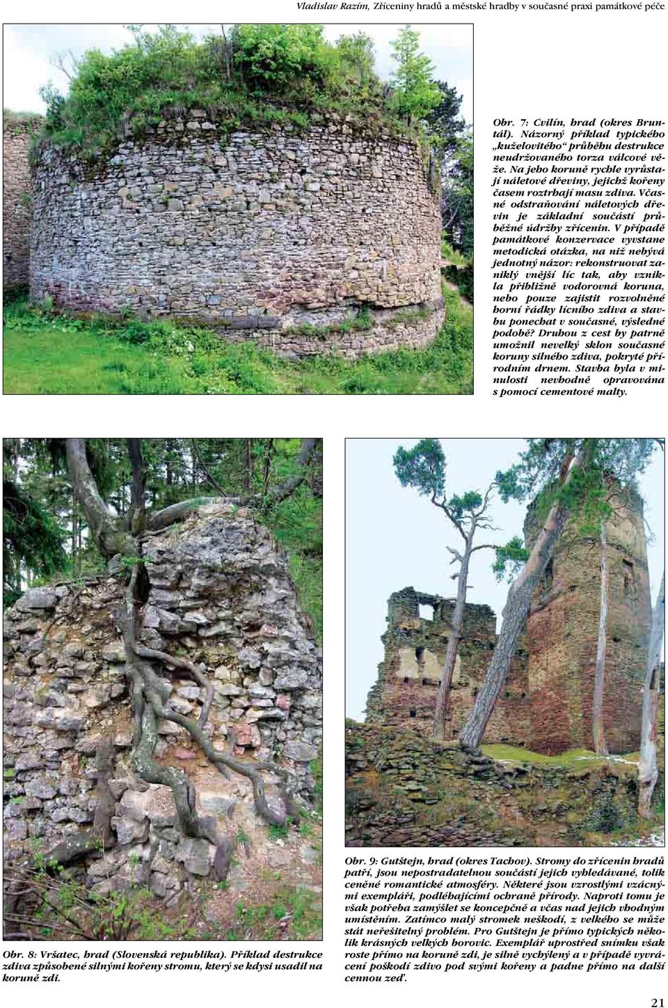 Včasné odstraňování náletových dřevin je základní součástí průběžné údržby zřícenin.