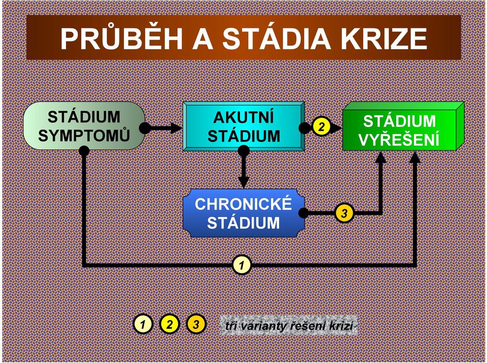 STÁDIUM VYŘEŠENÍ CHRONICKÉ