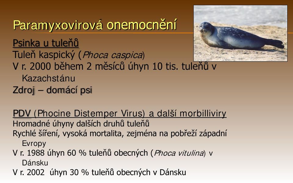 tuleňů v Kazachstánu Zdroj domácí psi PDV (Phocine Distemper Virus) a další morbilliviry Hromadné