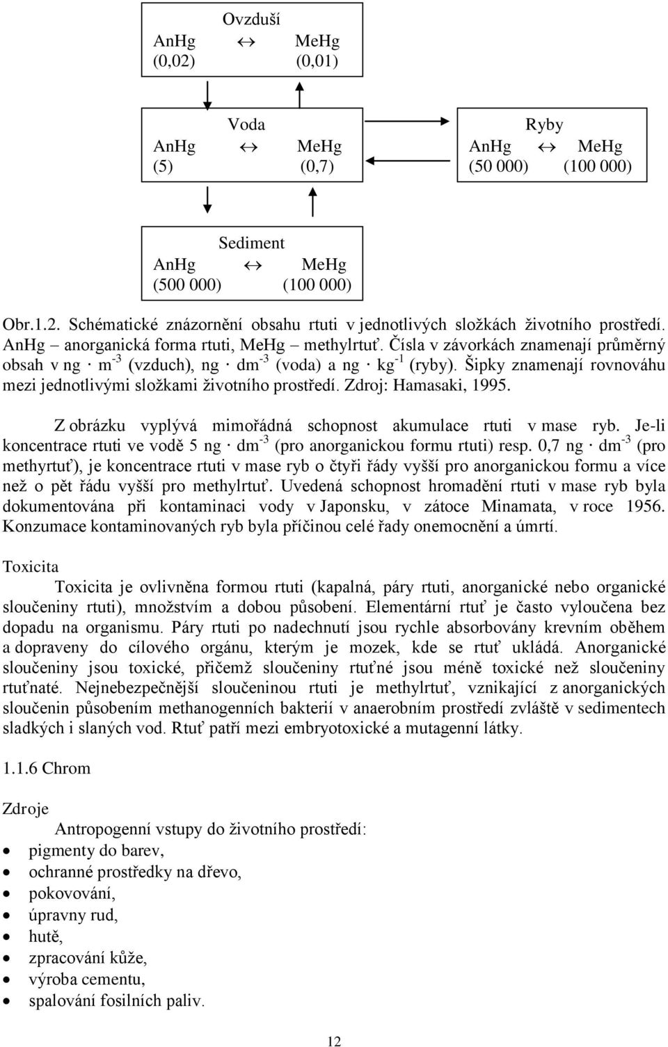 Šipky znamenají rovnováhu mezi jednotlivými složkami životního prostředí. Zdroj: Hamasaki, 1995. Z obrázku vyplývá mimořádná schopnost akumulace rtuti v mase ryb.